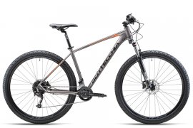 ΠΟΔΗΛΑΤΟ MTB 29 BOTTECCHIA 125 MAN DISK titanium